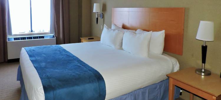 马可拉瓜迪亚酒店及套房(Marco LaGuardia Hotel and Suites)图片