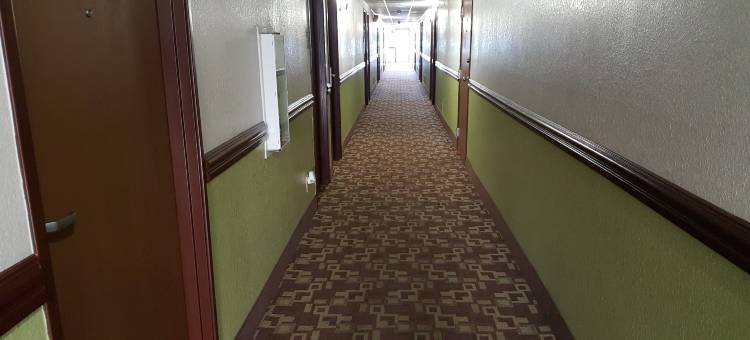 哈灵根速8酒店(Super 8 by Wyndham Harlingen TX)图片