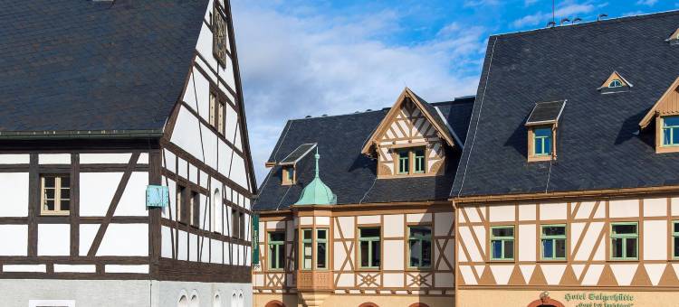 塞格胡特酒店(Hotel Saigerhütte)图片