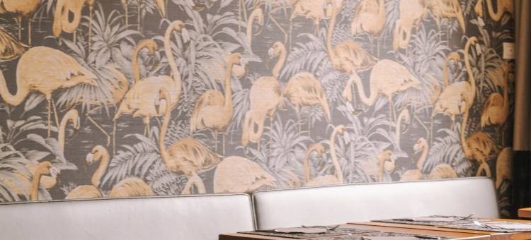 威尼斯iH萨鲁特宫殿酒店(iH Hotels Venezia Salute Palace)图片