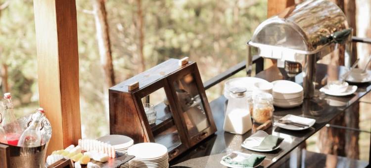 Mơ住宿-森林度假村(Mo Stay - Forest Resort)图片