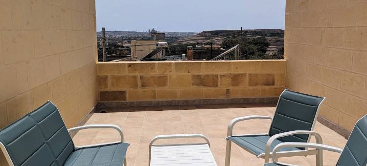 海冬青Gozo(Sea Holly Gozo)图片