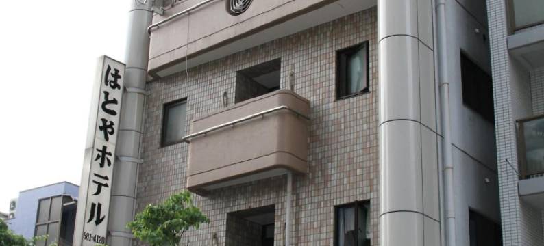 哈托娅酒店(Hatoya Hotel)图片