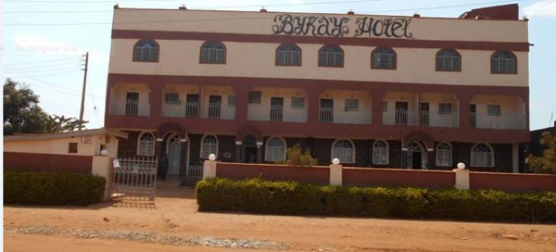 比凯酒店(Bykay Hotel)图片