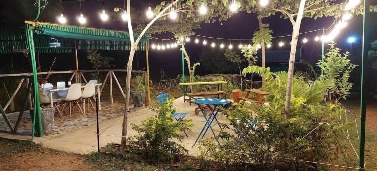 荒野丛林营地(Wilderness Jungle Camp)图片