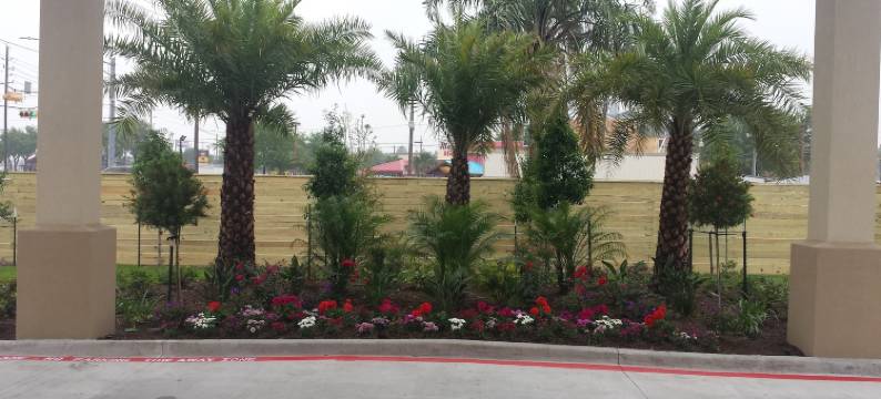 琼斯路及 290 皇宫旅馆(Palace Inn 290 & Jones Rd)图片