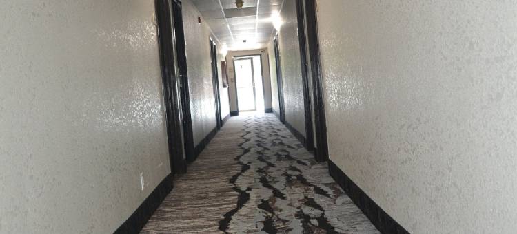 索内斯塔精选德梅因(Sonesta Essential des Moines)图片