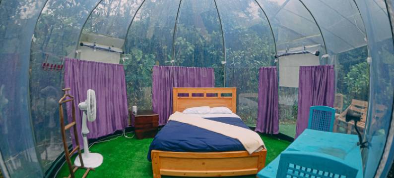 卡萨查帐篷酒店(Cassacha Glamping)图片