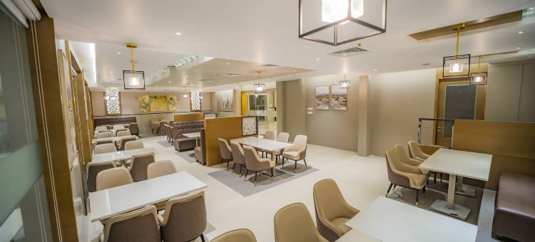 伊卡尔凯里亚德威望酒店(Kyriad Prestige Ilkal)图片