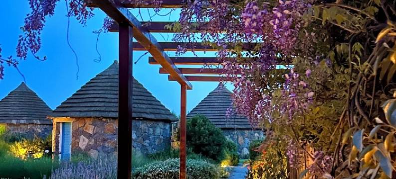 Is Cheas葡萄酒农场精品酒店(Is Cheas Wine Farm Boutique Hotel)图片