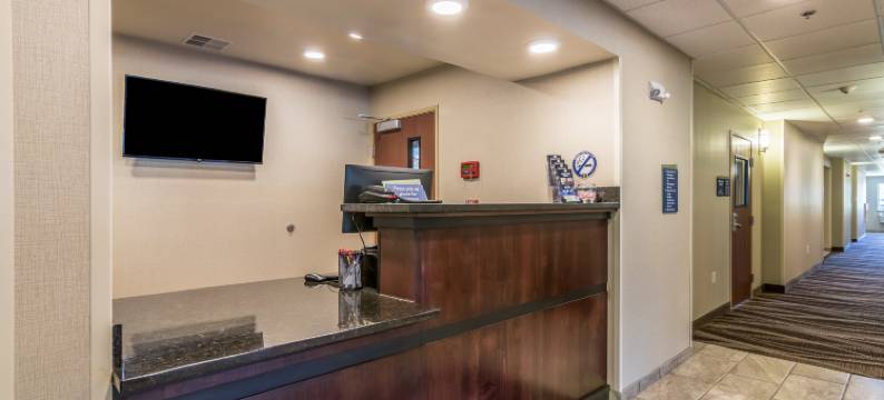 鹅卵石套房酒店 - 巴隆(Cobblestone Inn & Suites - Barron)图片