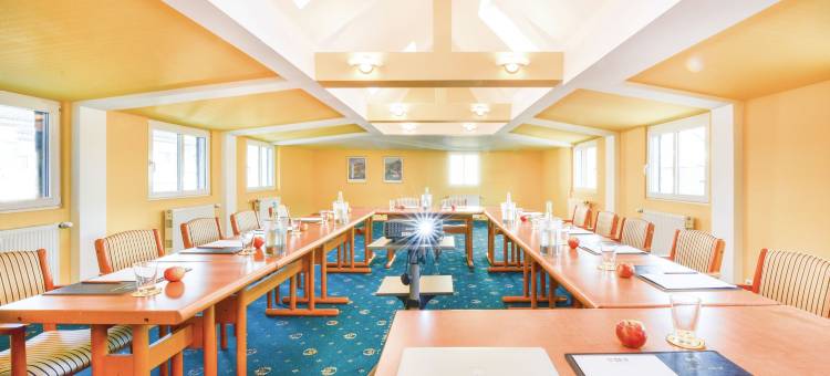 贝尔维尤莱恩酒店(Bellevue Rheinhotel)图片