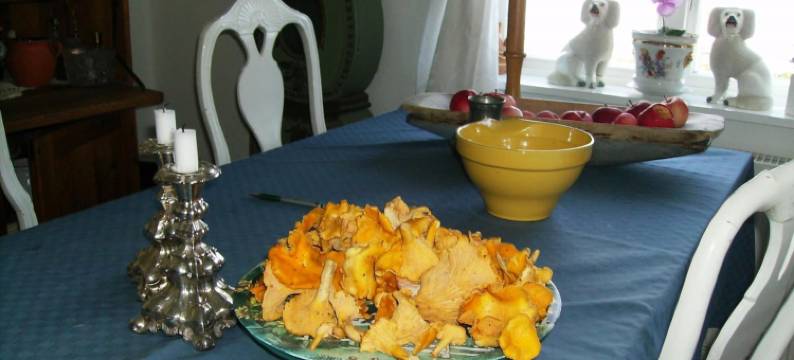 塔赫花园农场酒店(Täljegården Lantgårdshotell)图片