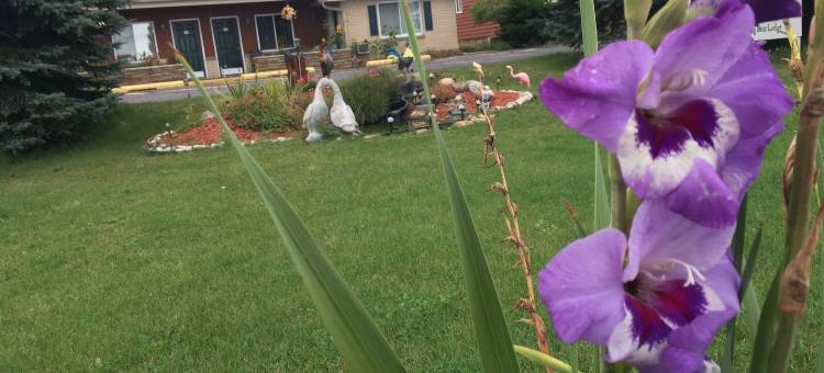 大熊旅馆(Big Bear Lodge)图片