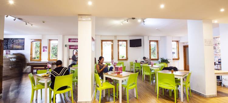 比萨安居酒店(Safestay Pisa Centrale)图片