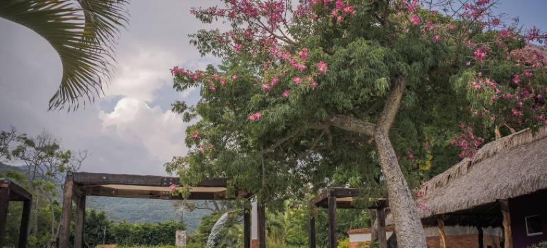 尼慕伊马里纳住宅与精品酒店(Nimue Marina Residence & Hotel Boutique)图片