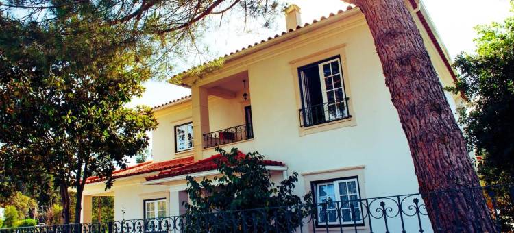 玉兰花住宿加早餐旅馆(Magnolia B&B)图片