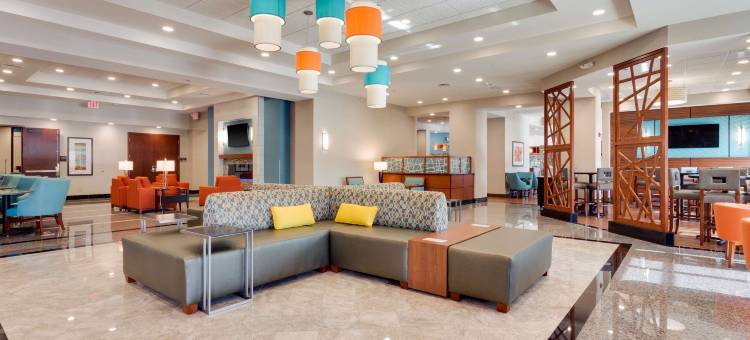 圣路易斯圣查尔斯特鲁里广场酒店(Drury Plaza Hotel St. Louis St. Charles)图片