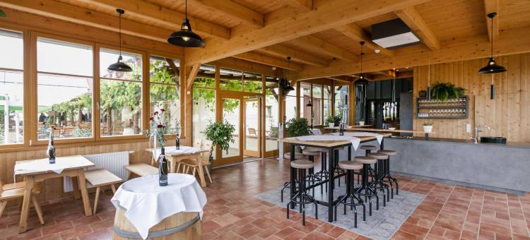 蒂申 - 比奥朗德勒尼斯胡法酒店(Jufa Hotel Tieschen)图片