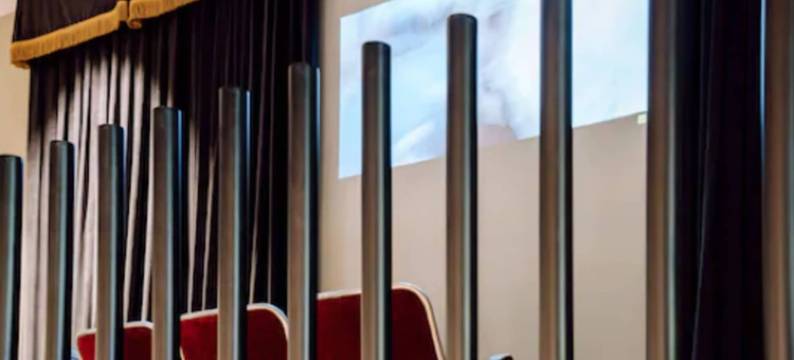 时髦&精简天鹅绒住宿(Chic & Basic Velvet)图片