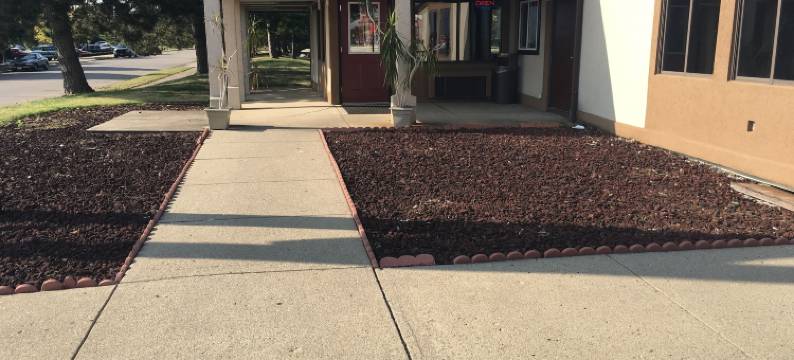 速 9 汽车旅馆(Super 9 Motel Troy)图片