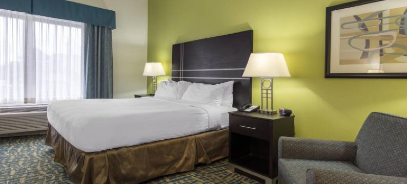 萨凡纳南部 I-95 智选假日酒店(Holiday Inn SAVANNAH S - I-95 GATEWAY by IHG)图片