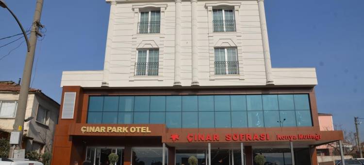 茨纳尔帕克酒店(Çınarpark Hotel)图片