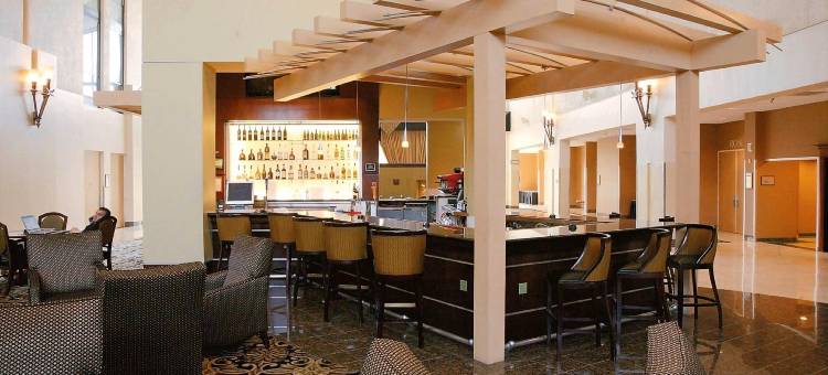 达拉斯理查森希尔顿逸林酒店(DoubleTree by Hilton Hotel Dallas - Richardson)图片