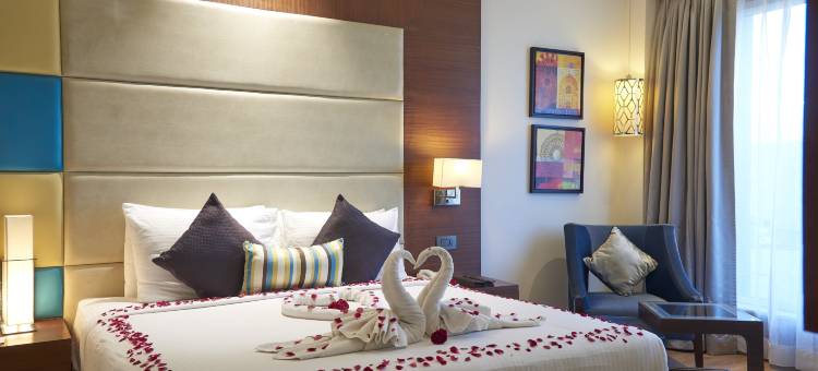 阿格拉宫殿PL酒店(The P L Palace Agra)图片