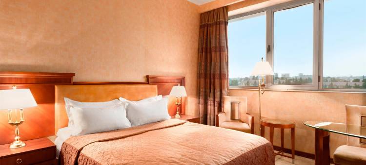 让斯温德姆华美达广场酒店(Ramada Plaza by Wyndham Gence)图片