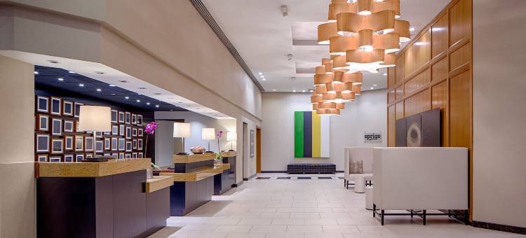 格林威广场休斯顿希尔顿逸林酒店(DoubleTree by Hilton Hotel Houston - Greenway Plaza)图片