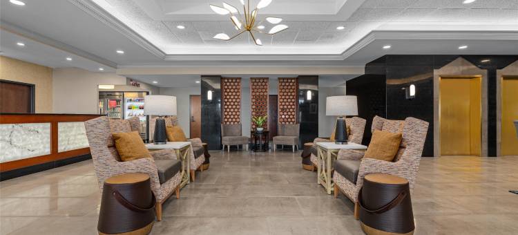 圣路易斯克雷夫科尔德鲁里套房酒店(Drury Plaza Hotel St Louis Creve Coeur)图片