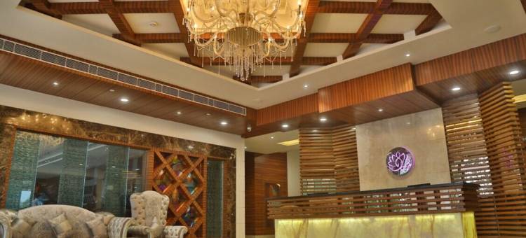 布利斯科贝特(The Bliss Corbett)图片