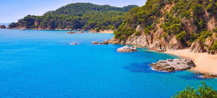Pet-friendly villa in Lloret de Mar图片