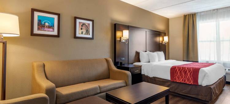 亚特兰大六旗江山酒店酒店(Comfort Inn & Suites Near Six Flags)图片