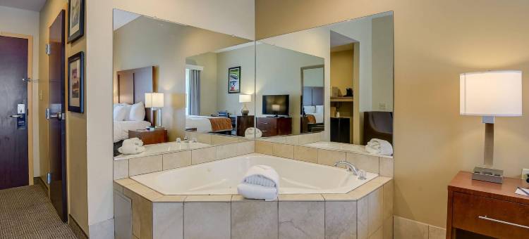 奥古斯塔艾森豪威尔高速公路舒适套房酒店(Comfort Inn & Suites Augusta Fort Eisenhower Area)图片