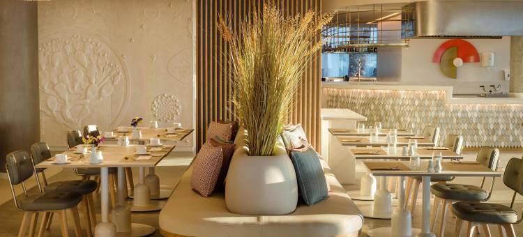 法里奥内斯套房酒店(Plus Fariones Suite Hotel)图片