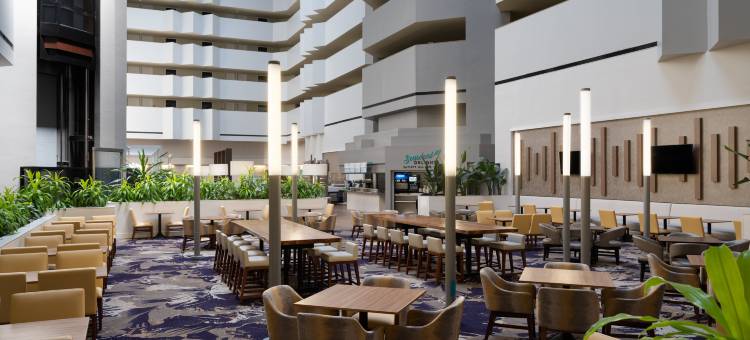 博卡－拉顿大使套房酒店(Embassy Suites by Hilton Boca Raton)图片