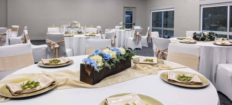 洲际酒店集团智选假日套房酒店Madison(Holiday Inn Express & Suites MADISON by IHG)图片