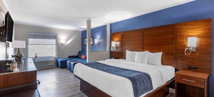 圣路易斯舒适套房酒店-日落山(Comfort Suites St. Louis - Sunset Hills)图片