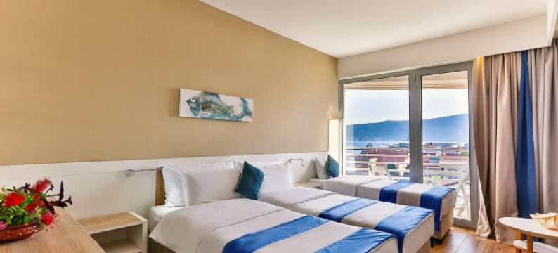 Carine德尔芬酒店(Carine Hotel Delfin)图片