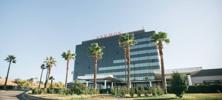 代尼兹利阿奈蒙酒店(Anemon Grand Denizli Otel)图片