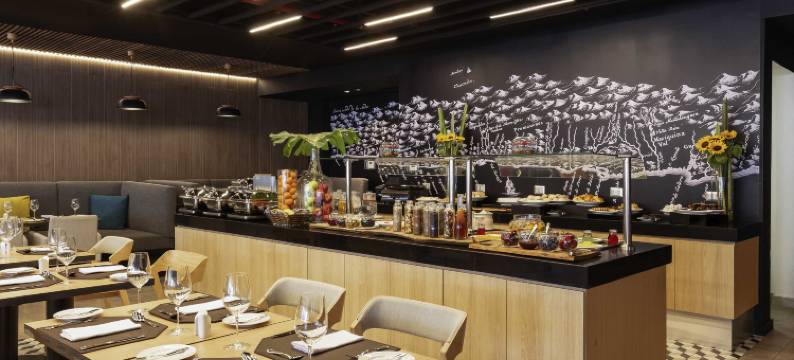 圣地亚哥普罗维登西亚诺富特酒店(Novotel Santiago Providencia)图片