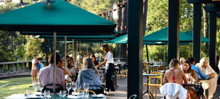 70公顷... 和大海 - 方特尼勒系列(70 Hectares... et l'Océan)图片