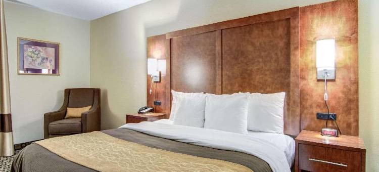 舒适套房酒店(Comfort Inn & Suites Athens North)图片