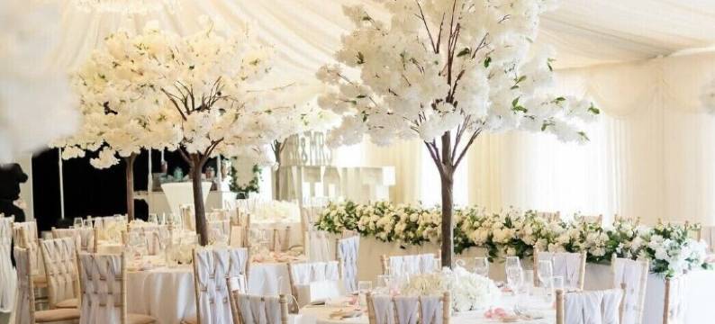 列特登活动旅馆(Rettendon Lodge)图片