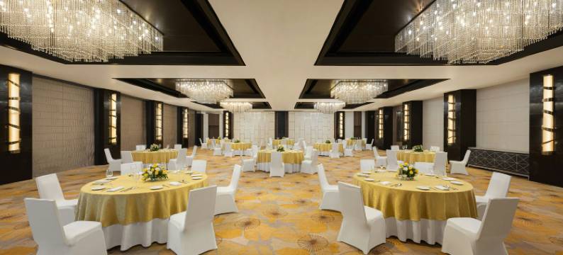 比拉斯布尔万怡酒店(Courtyard Bilaspur)图片