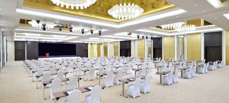 利雅得米尼哈尔丽笙酒店及会议中心(Radisson Blu Hotel and Convention Centre, Riyadh Minhal)图片