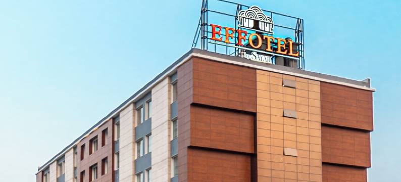 赛雅吉•波泰尔豪华酒店(Effotel by Sayaji Bhopal)图片