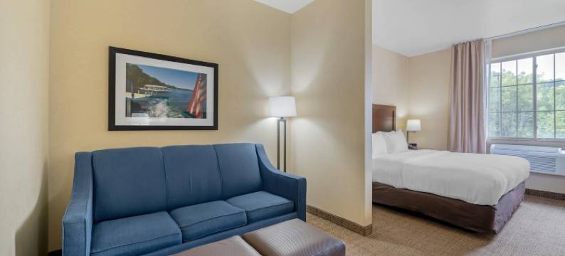 日内瓦湖城东舒适套房酒店(Comfort Suites Lake Geneva East)图片